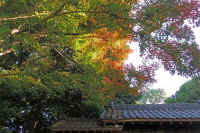 2025111702873-1-1.jpg (159634 �o�C�g)