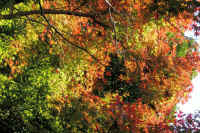 2025111702874.jpg (192369 �o�C�g)