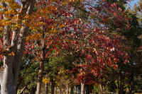 2025111702876-1.jpg (166895 �o�C�g)