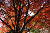 2025111702880-1.jpg (189752 �o�C�g)