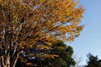 2025111702884-1.jpg (167116 �o�C�g)