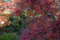 2025111702886-1.jpg (153124 �o�C�g)