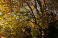 2025111702895-1.jpg (170047 �o�C�g)