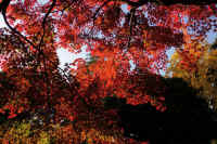 2025111702907-1.jpg (175880 �o�C�g)