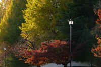 2025111702919-1.jpg (105573 �o�C�g)