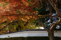 2025111702924-1.jpg (133428 �o�C�g)