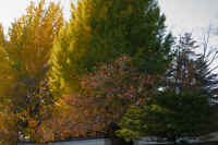 2025111702925-1.jpg (125264 �o�C�g)