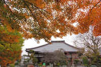 2025112503205-1.jpg (178283 �o�C�g)