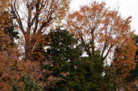 2025112503218.jpg (175514 �o�C�g)