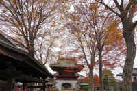 2025112503224-1.jpg (167697 �o�C�g)