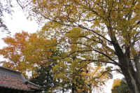 2025112503228-1.jpg (179567 �o�C�g)