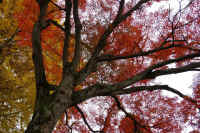 2025112503229.jpg (182635 �o�C�g)