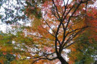 2025112503233-1.jpg (183958 �o�C�g)