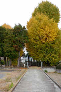 2025112503272-1.jpg (108596 �o�C�g)