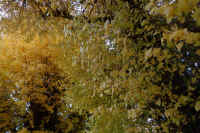 2025112503276.jpg (146853 �o�C�g)