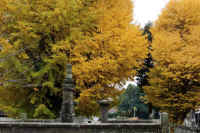 2025112503280-1.jpg (144288 �o�C�g)