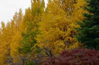 2025112503281.jpg (116552 �o�C�g)