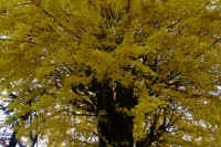 2025112503282.jpg (160886 �o�C�g)