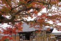 2025112503291.jpg (173232 �o�C�g)