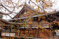 2025112503294-1.jpg (175384 �o�C�g)