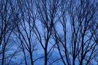 2026011109431-1.jpg (171698 �o�C�g)