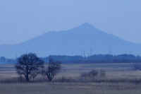 2026011109435-2-1.jpg (43629 �o�C�g)