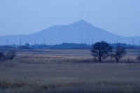 2026011109438-1-1.jpg (46898 �o�C�g)