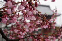 2026031004164.jpg (75937 �o�C�g)