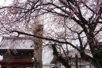 2026031004170-1.jpg (172073 �o�C�g)