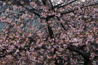 2026031004176.jpg (179490 �o�C�g)