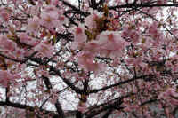 2026031004181.jpg (122269 �o�C�g)