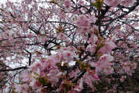 2026031004182.jpg (141708 �o�C�g)