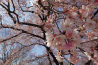 2026031604210-1 (2).jpg (102194 �o�C�g)