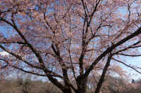 2026031604213-1.jpg (167352 �o�C�g)