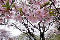 2026032004326.jpg (281628 �o�C�g)