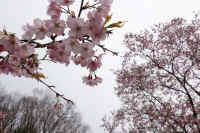 2026032004338.jpg (106250 �o�C�g)