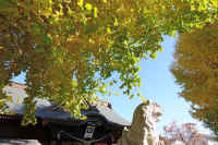 22-2025111903026-1-1.jpg (139753 �o�C�g)