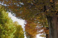 23-2025111903016-1-1.jpg (358442 �o�C�g)