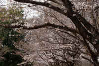 28-2026032804500.jpg (168175 �o�C�g)