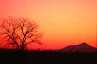 01-1995011800000.jpg (48614 �o�C�g)