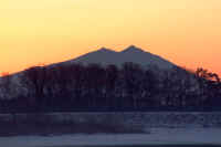 01-2005010303000.jpg (47979 �o�C�g)