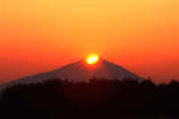 01-2006012800400-1-1.jpg (30950 �o�C�g)