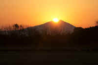 01-2012011800284.jpg (72550 バイト)