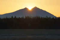 01-2015011001454.jpg (28003 バイト)