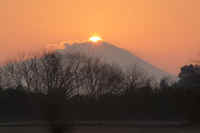 01-2015011701551-1.jpg (52387 �o�C�g)