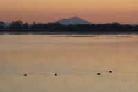 01-2017010704019-2.jpg (36062 バイト)