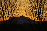 01-2017011104027-1.jpg (152056 �o�C�g)