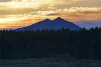 01-2017012804209-1.jpg (77542 バイト)