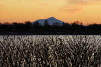 01-2019010603771.jpg (117889 �o�C�g)