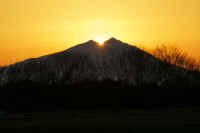 01-2019011603941-1.jpg (42306 バイト)